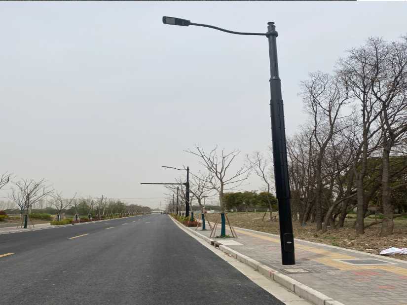 札达县上海综合杆 太阳能路灯工程